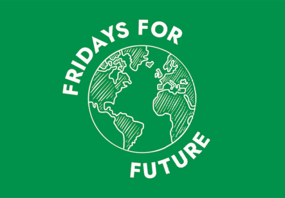 Fridays For Future - Torino
